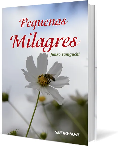 Pequenos Milagres
