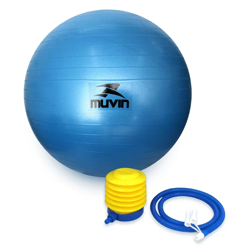 Bola de Pilates Tamanho M com Enchedor (Pouco Uso)
